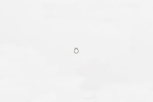 Wilwood retaining ring external SH-25 black phospate