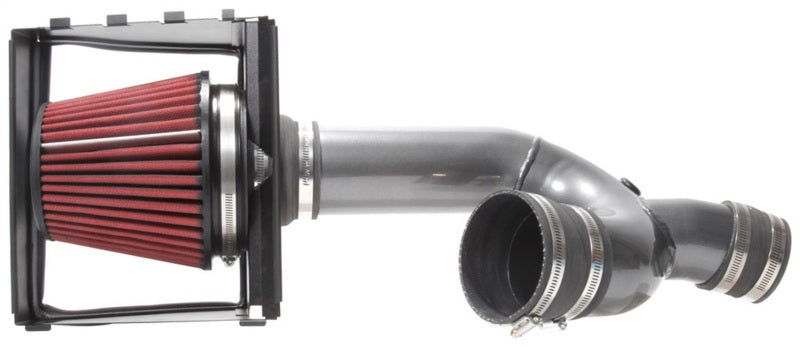 AEM 21-8130DC 17-18 fits Ford F-150 3.5L V6 F/I Gunmetal Gray Cold Air Intake