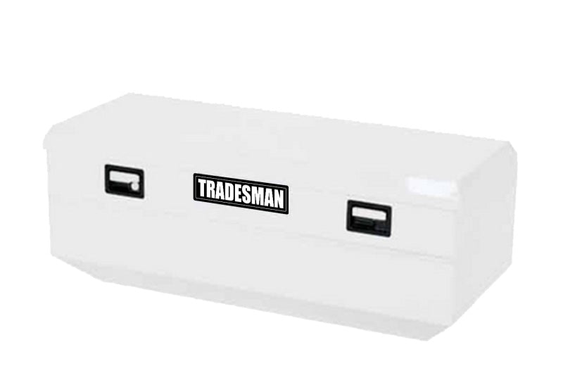 Tradesman 86460 Steel Flush Mount Truck Tool Box (60in.) - White