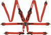 Racequip 855015 Red FIA CAMLOCK 6pt 2in Pull Down Lap FHR
