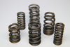 Ferrea  S10178 fits Toyota 2JZ Dual Valve Spring - Set of 24