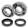 QuadBoss 413259 fits Yamaha YFS200 Blaster Crankshaft Bearing & Seal Kit