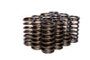 COMP Cams 973-12 Valve Springs 0.970in Inner