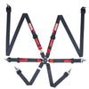 Racequip 856006 Black FIA CAMLOCK 6pt 2in Pull Up Lap FHR