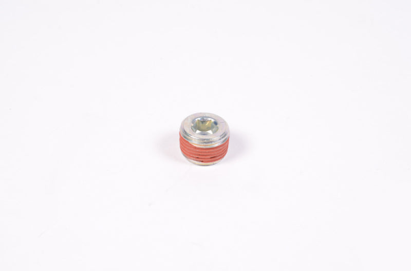 Radium Engineering 14-0173 3/8in NPT Plug