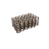 COMP Cams 26125-24 Valve Springs H/L fits Ford 3V Bee