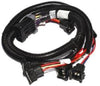 FAST 30308 Harness EZ-EFI Gen2 Main