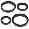 QuadBoss 414094 04-05 Arctic Cat 250 4x4 (2) Front Differential Seal Kit