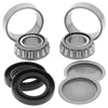 QuadBoss 413003 02-03 Can-Am Quest 500 Swingarm Repair Kit
