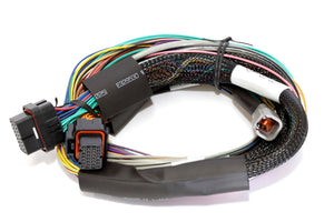 Haltech HT-140902 Elite 1500 8ft Basic Universal Wire-In Harness (No Relays or F