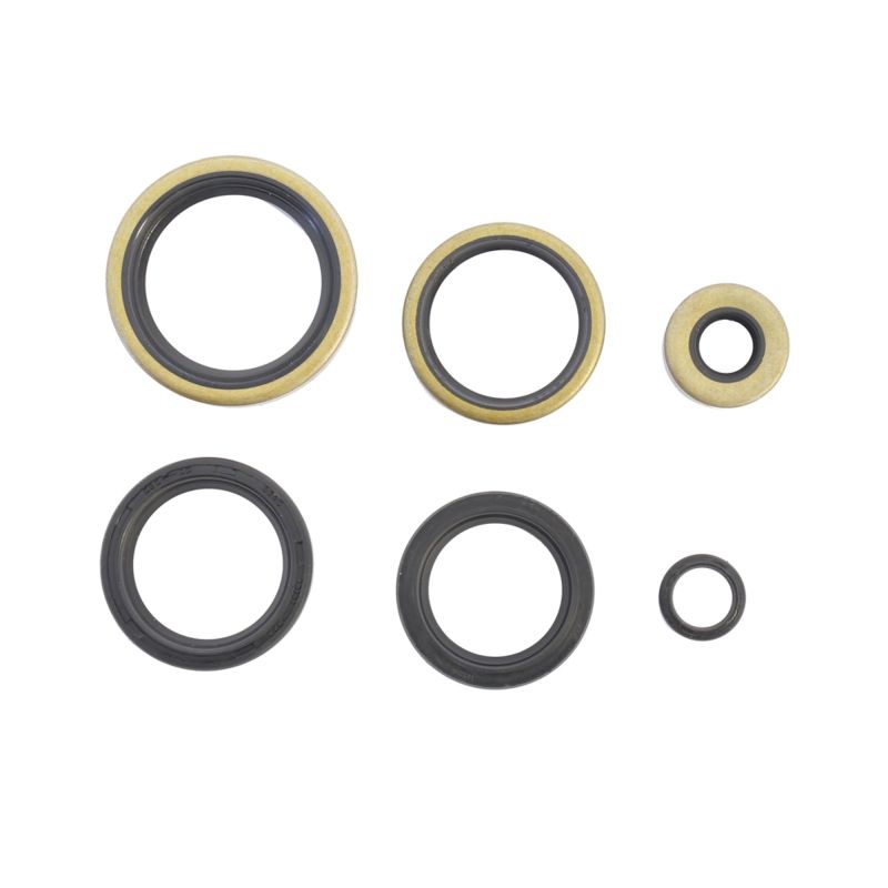 Athena P400195400740 Harley-Davidson Engine Oil Seal Kit