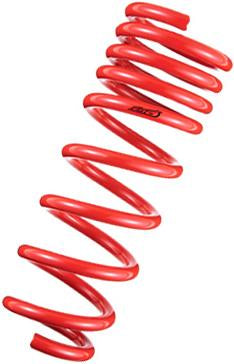 Tanabe TDF153 DF210 Springs 10-10 Prius