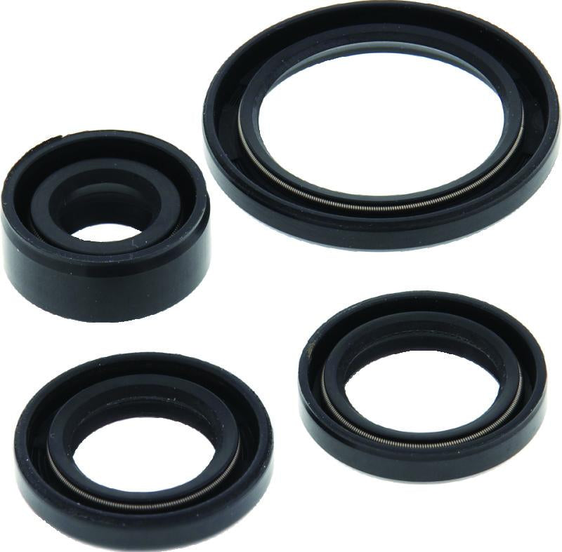 QuadBoss 564399 Qb Oil Seal Set