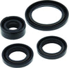 QuadBoss 564399 Qb Oil Seal Set