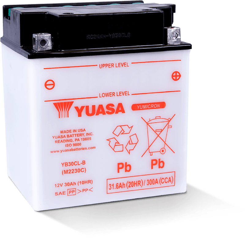 Yuasa YUAM2230CTWN YB30CL-B Yumicron CX 12 Volt Battery