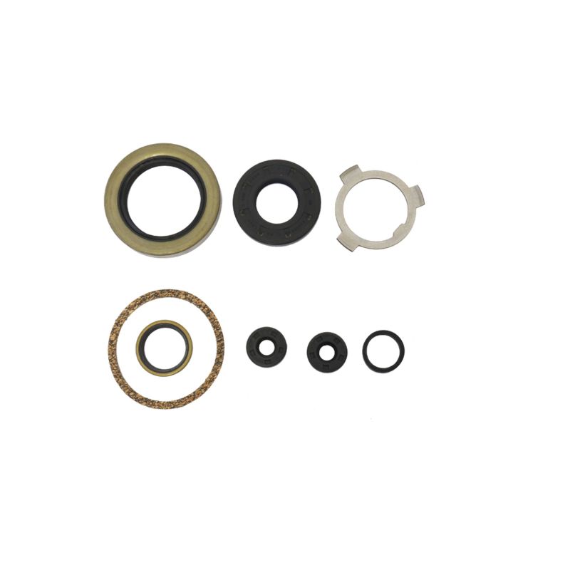 Athena P400195370896 Harley-Davidson 74in & 80 Engine Oil Seal Kit