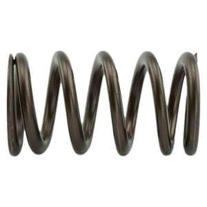 Industrial Injection PDM-160-1484S-24 110 LBS Single Valve Spring Set