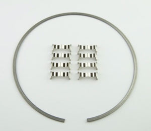 Wilwood 300-12561 Kit Snap Ring (1) and Wear Plates (8) Dynamic Drag Rotor