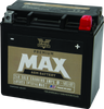Twin Power GYZ-16HL fits  Premium MAX Battery Replaces H-D 65958-04 Made in USA