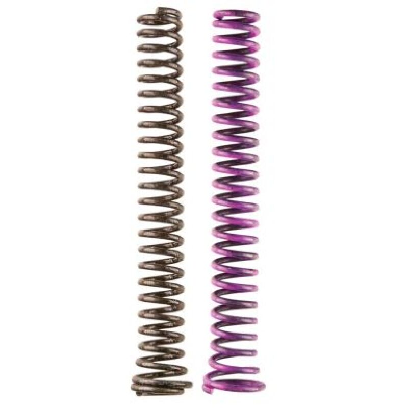 Moroso 22852 2 Piece Oil Pump Spring Kit (For 22171/22192/Spur Gear fits SBC)