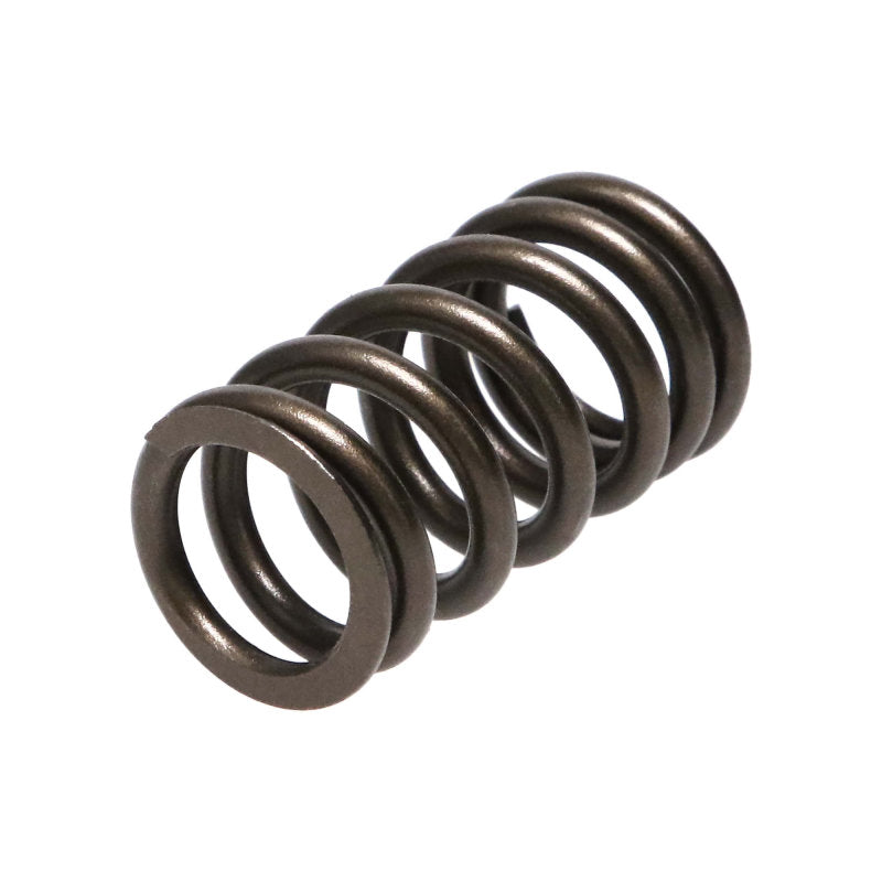 Manley  22195-16 fits Mitsubishi 4B11T 16pc Valve Springs