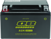 QuadBoss 401379 fits GM Battery QBX9-FA