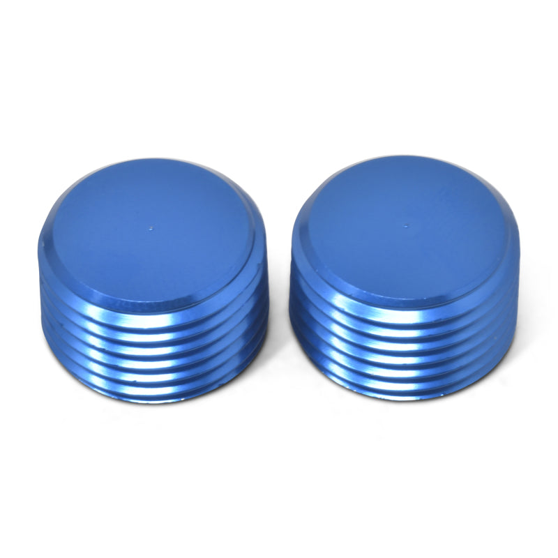 Russell 662040 Performance 1/4in Allen Socket Pipe Plug (Blue)