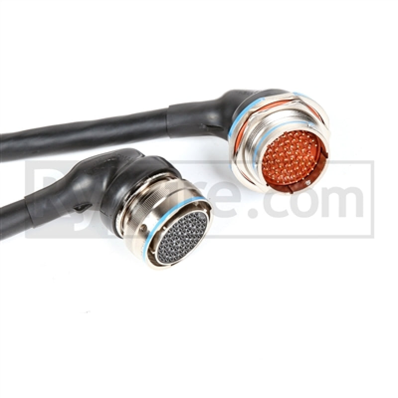Rywire RY-H1-MILSPEC fits Honda F/H-Series Mil-Spec Eng Harn Alt/Plugs