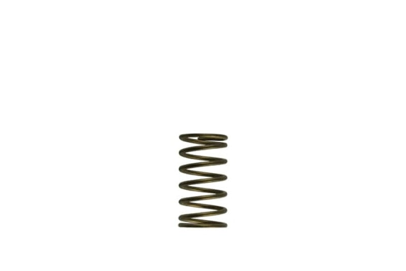 Turbosmart TS-0550-3089 WG60 Gen-V 3psi Inner Spring