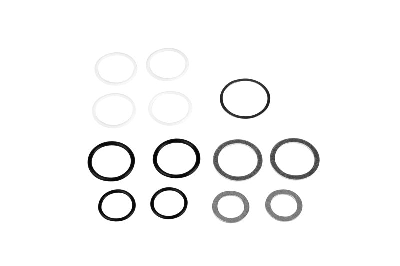Aeromotive  14001 Rebuild Kit - Fuel Log (14201/14202)