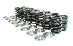 Manley Performance 26120 Manley fits Honda B Series Non V Tech Valve Springs
