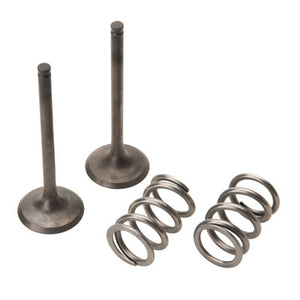 Pro X 28.SES3407-1 Steel Exhaust Valve/Spring Kit