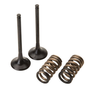 Pro X 28.SES6353-1 Steel Exhaust Valve/Spring Kit