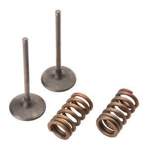 Pro X 28.SIS4335-2 Steel Intake Valve/Spring Kit
