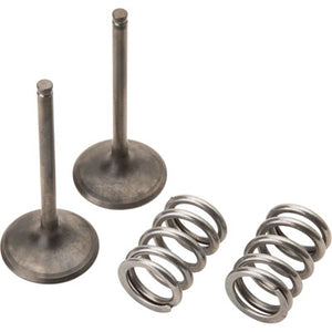 Pro X 28.SIS3407-2 Steel Intake Valve/Spring Kit