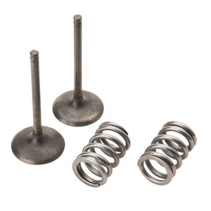 Pro X 28.SIS3408-2 Steel Intake Valve/Spring Kit