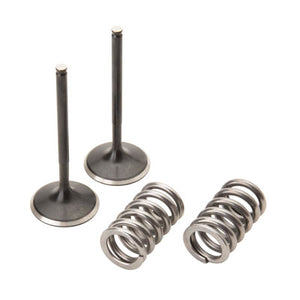 Pro X 28.SIS1405-2 Steel Intake Valve/Spring Kit