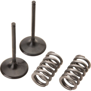 Pro X 28.SIS1409-2 Steel Intake Valve/Spring Kit