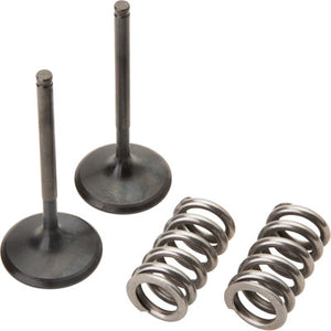 Pro X 28.SIS2440-2 Steel Intake Valve/Spring Kit