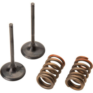 Pro X 28.SIS4341-2 Steel Intake Valve/Spring Kit