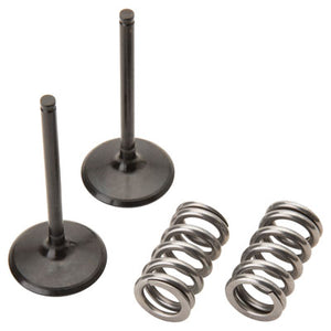 Pro X 28.SIS2444-2 Steel Intake Valve/Spring Kit