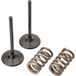 Pro X 28.SIS6351-2 Steel Intake Valve/Spring Kit