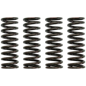 Pro X 17.CS33052 Clutch Spring Kit