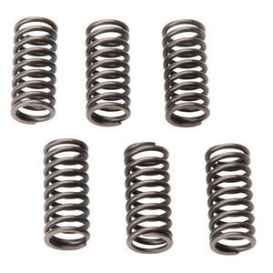 Tusk 1122370003 Clutch Spring Set