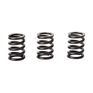 Tusk 1122370035 Clutch Spring Set